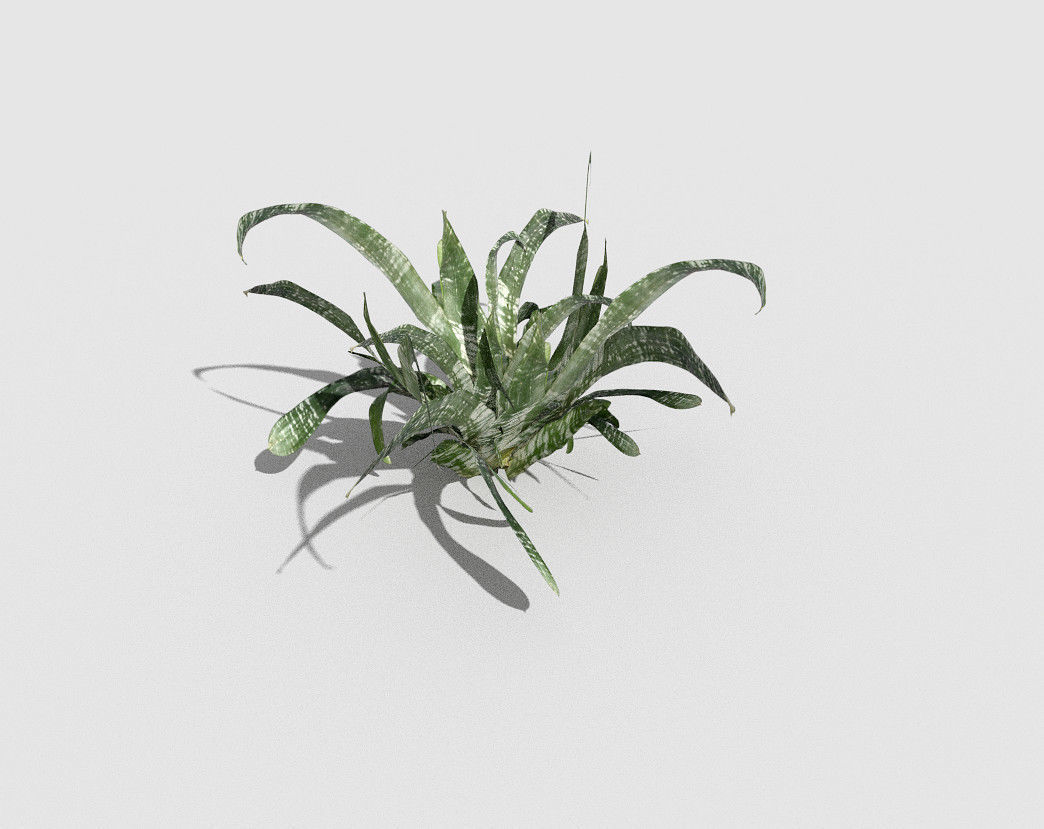 Plant air Low-poly 3D model_4