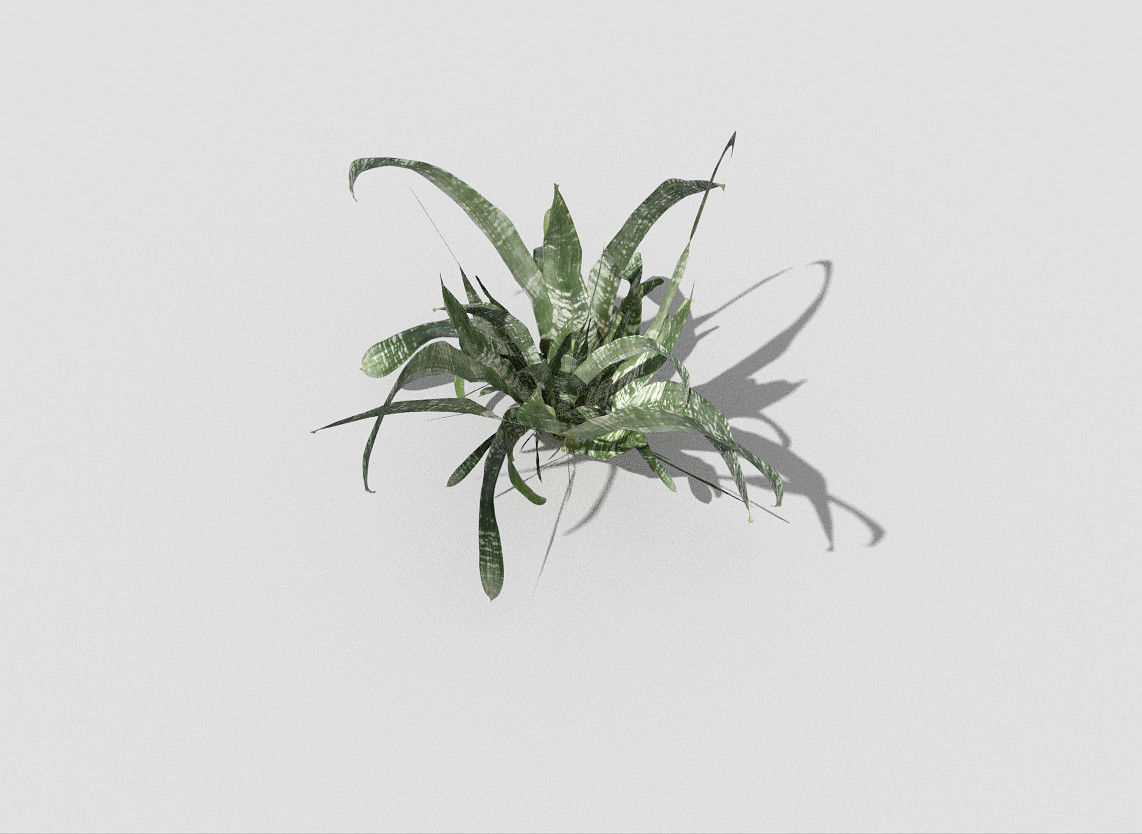 Plant air Low-poly 3D model_2