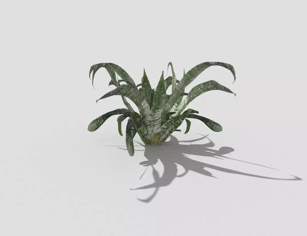 Plant air Low-poly 3D model_0