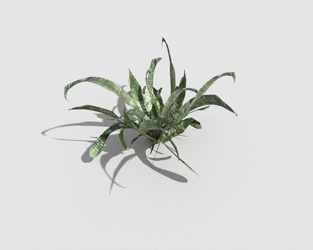 Plant air Low-poly 3D model_5