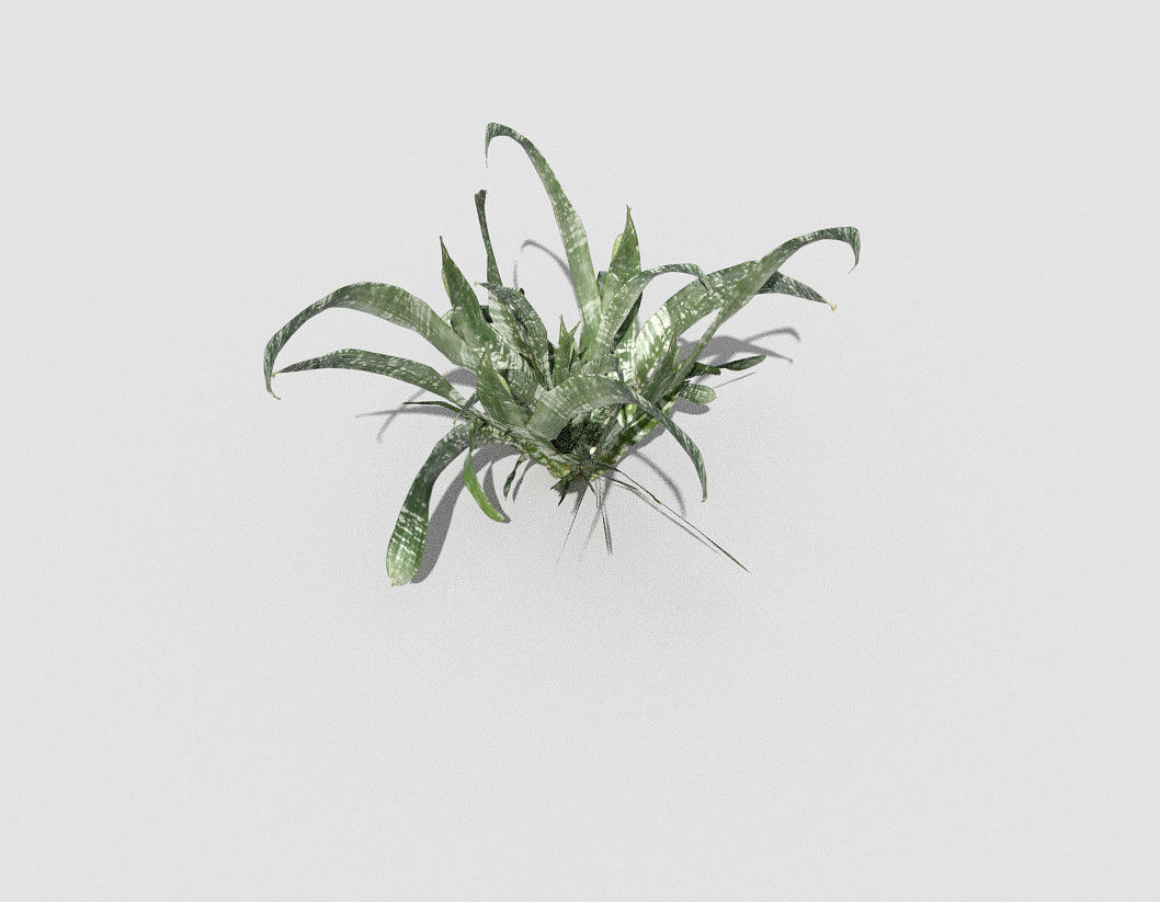 Plant air Low-poly 3D model_1