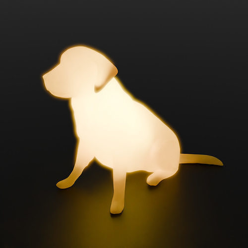 Golden Retriever Indirect Lighting 3D model