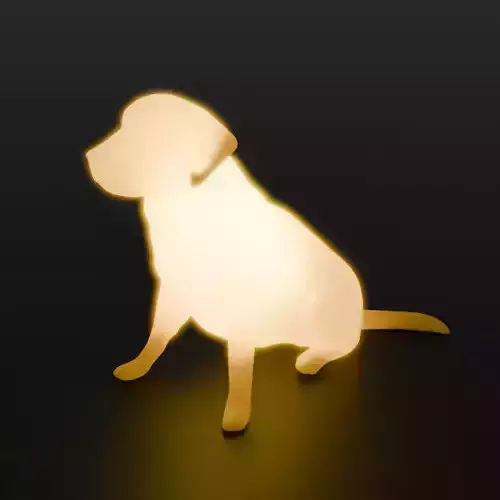 Golden Retriever Indirect Lighting