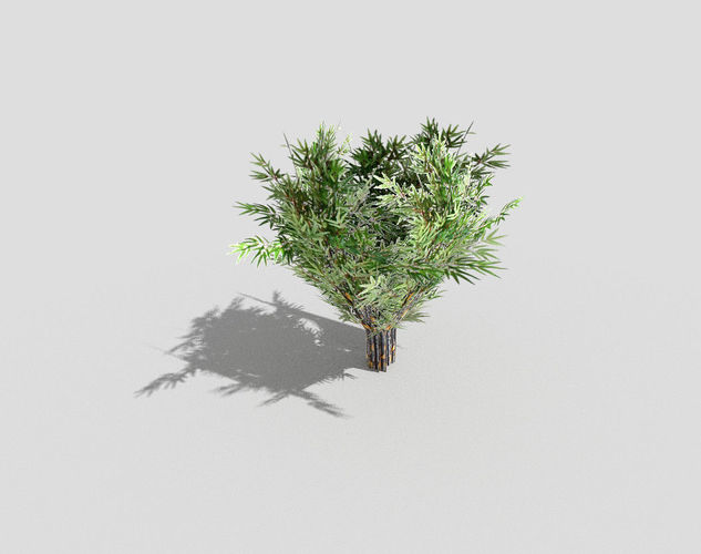 Plant tree Low-poly 3D model