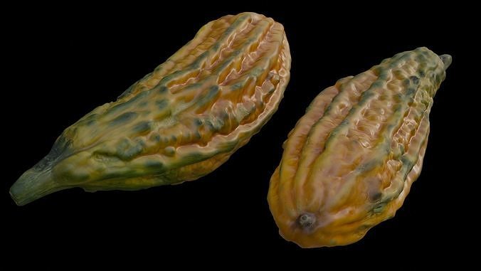  Bitter Melon Scan Low-poly 3D model