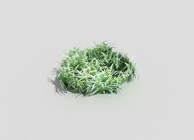 Grass in circle