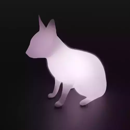 Siamese cat indirect lighting