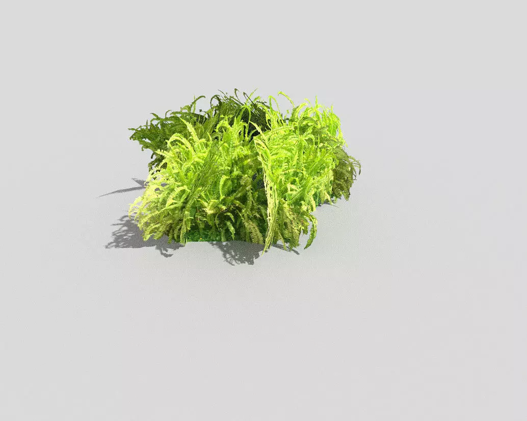 Plant grass Low-poly 3D model_0