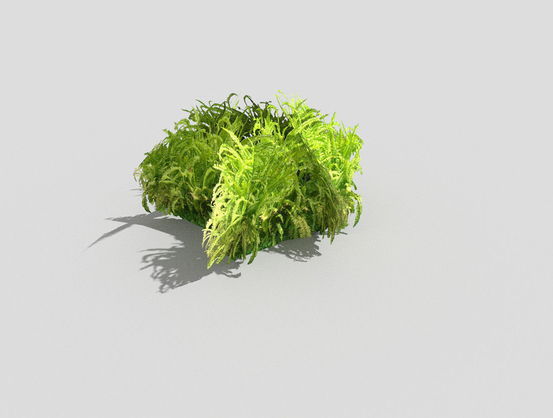 Plant grass Low-poly 3D model_1