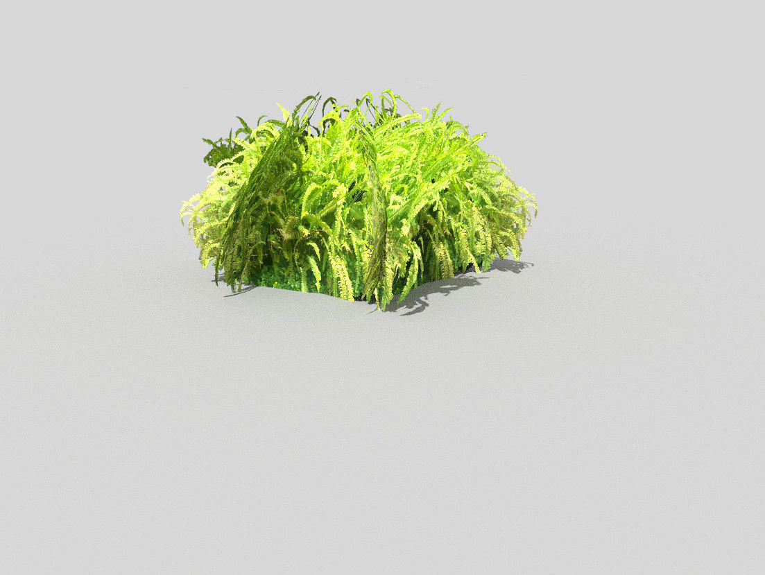 Plant grass Low-poly 3D model_3