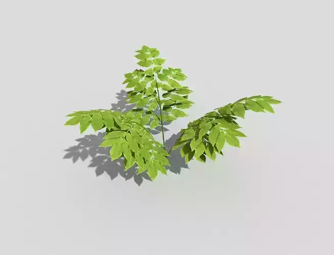 Plant leaf Low-poly 3D model