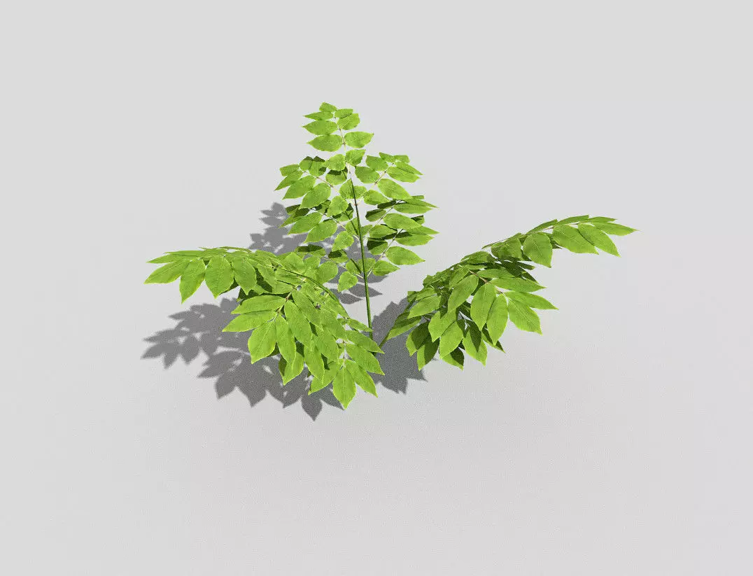 Plant leaf Low-poly 3D model_0