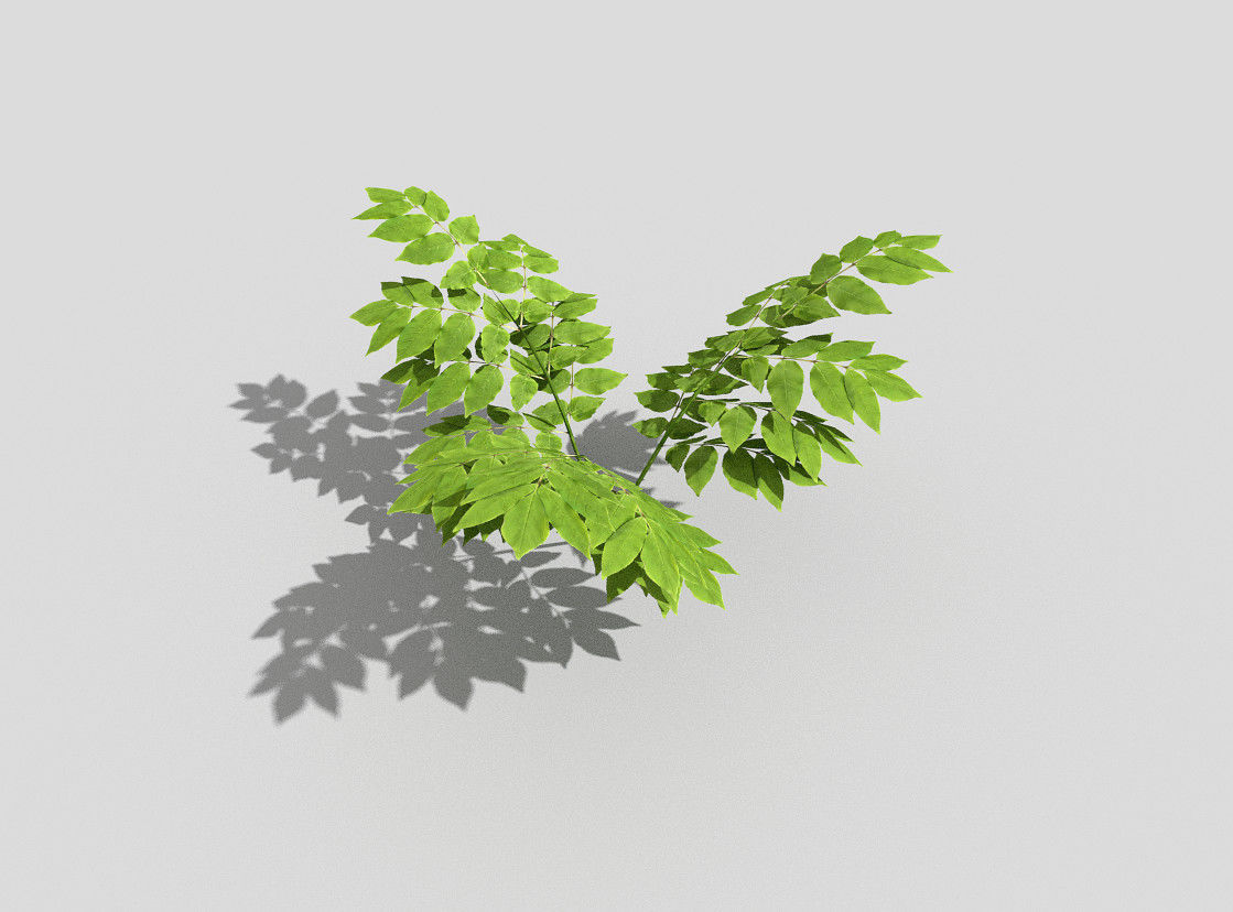 Plant leaf Low-poly 3D model_1