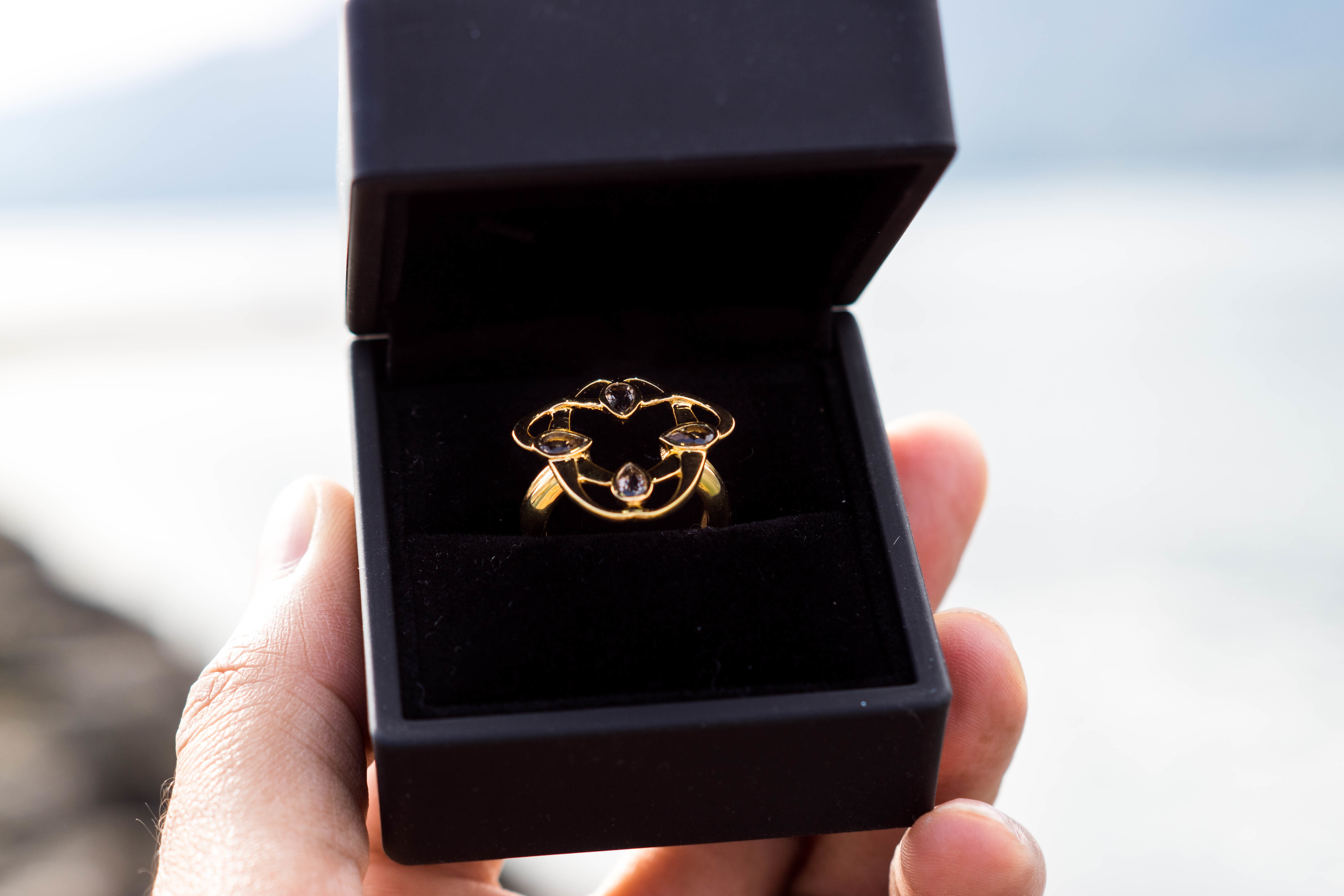 Sapucai Ring 3D Model Architectural Gold 3D print model_1