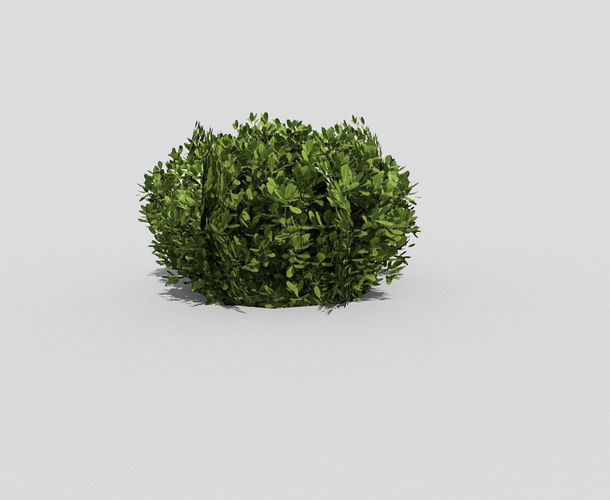 Shrub topiary Low-poly 3D model