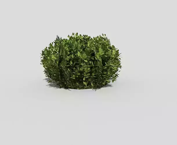 Shrub topiary Low-poly 3D model