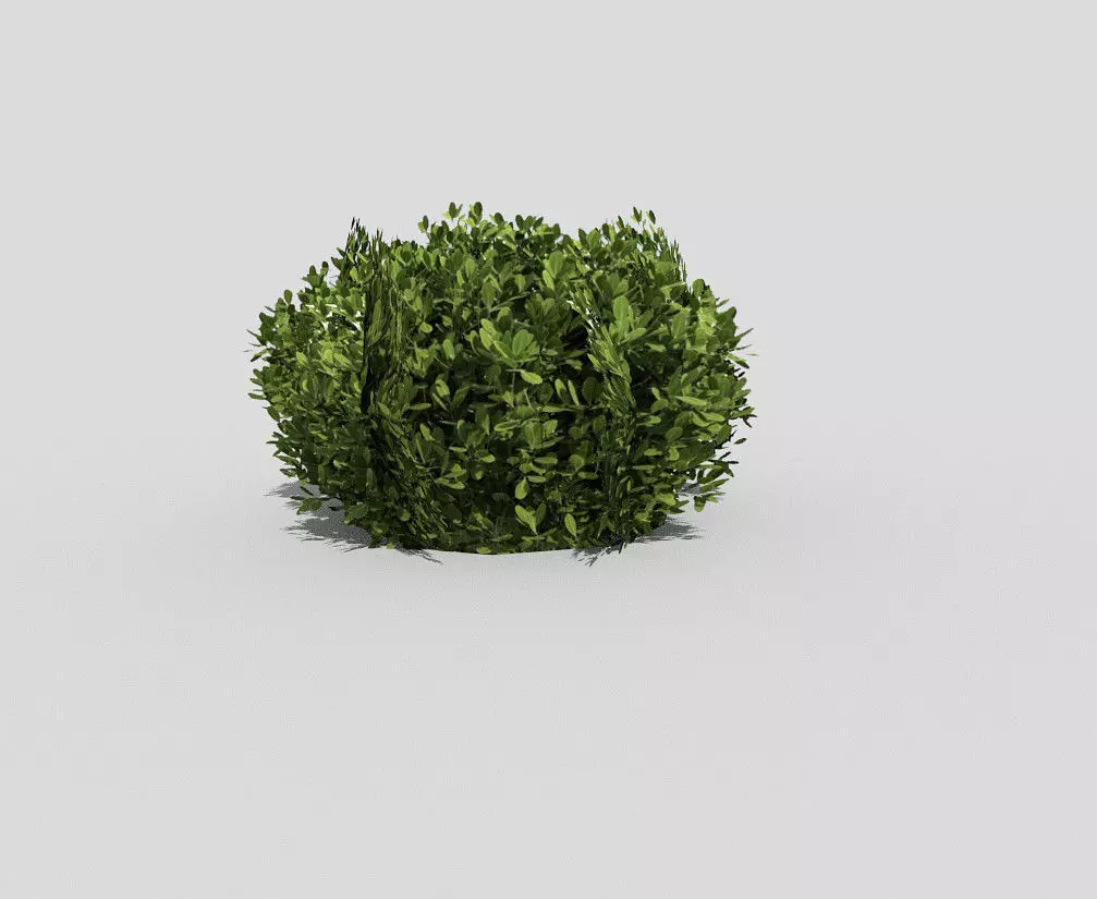 Shrub topiary Low-poly 3D model_0