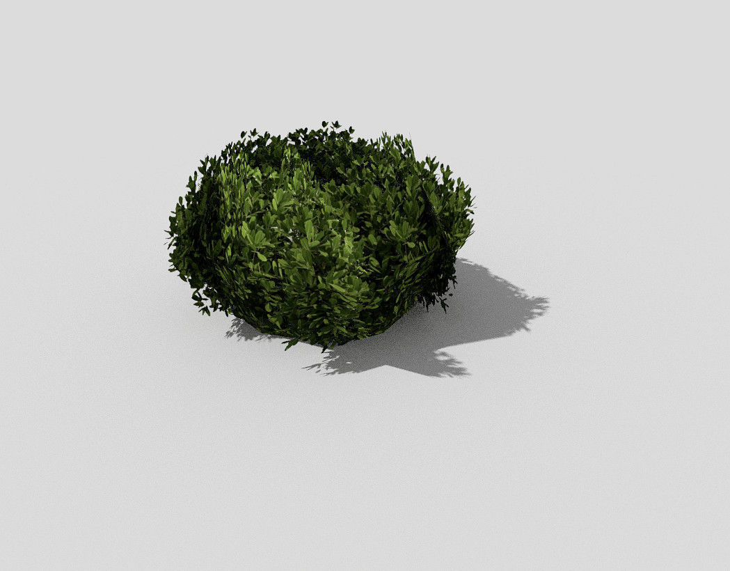 Shrub topiary Low-poly 3D model_1