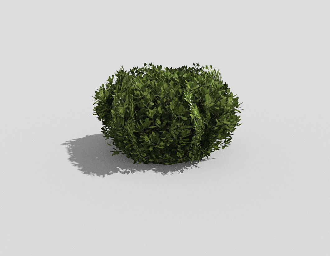 Shrub topiary Low-poly 3D model_2
