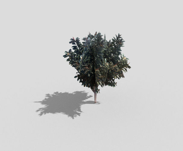 Tree Low-poly 3D model