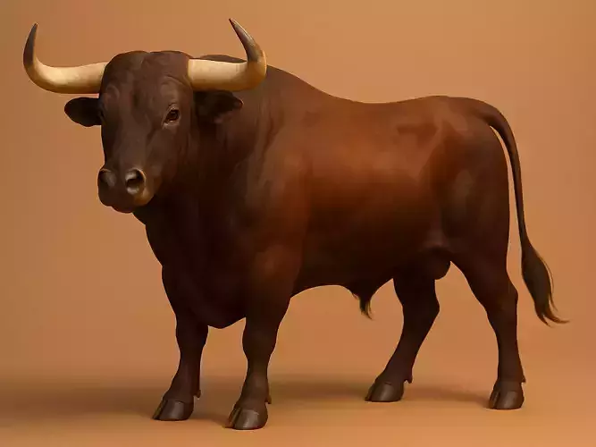 Spanish Bull Cattle 3D 3D print model