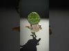 Artichoke Character Rigged and Animated with Glasses and Bowtie Low-poly 3D model_2