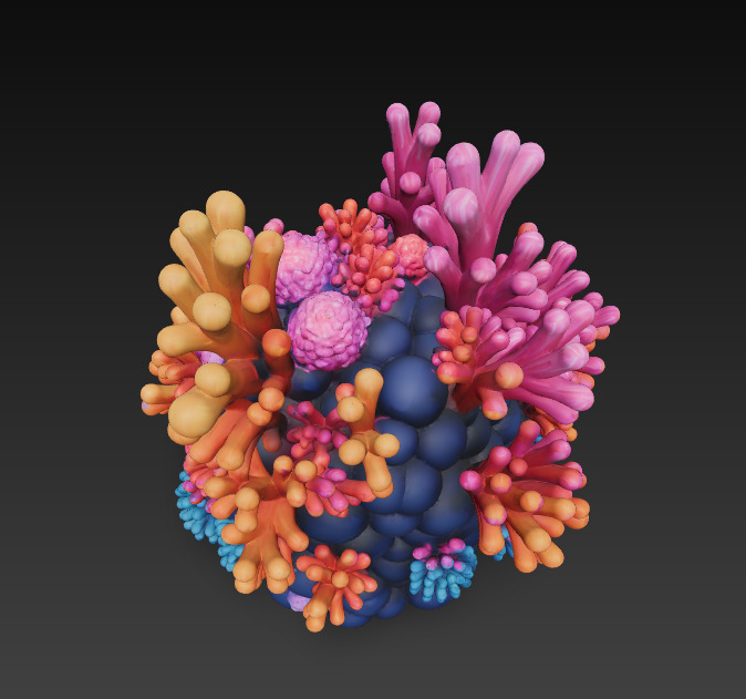 Reef Coral Realistic 3D Model Basic - Low Poly Realistic Low-poly 3D model_7