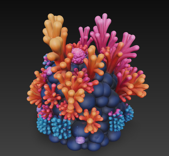 Reef Coral Realistic 3D Model Basic - Low Poly Realistic Low-poly 3D model_9