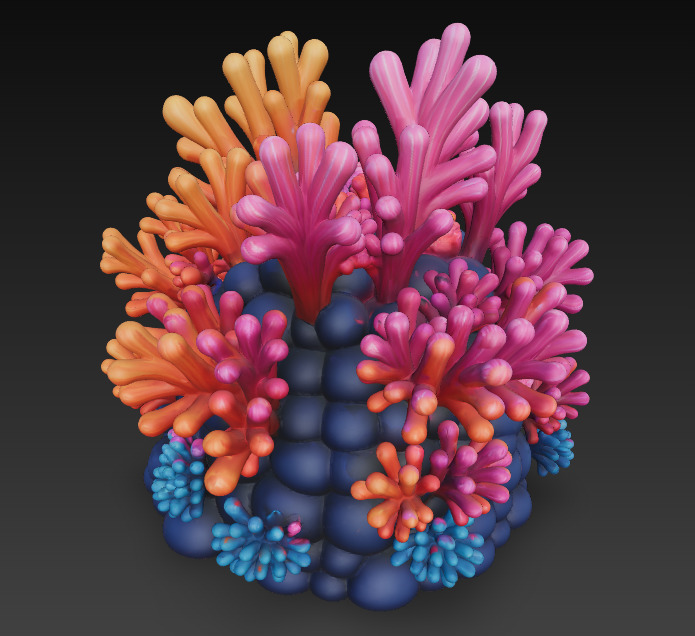 Reef Coral Realistic 3D Model Basic - Low Poly Realistic Low-poly 3D model_8