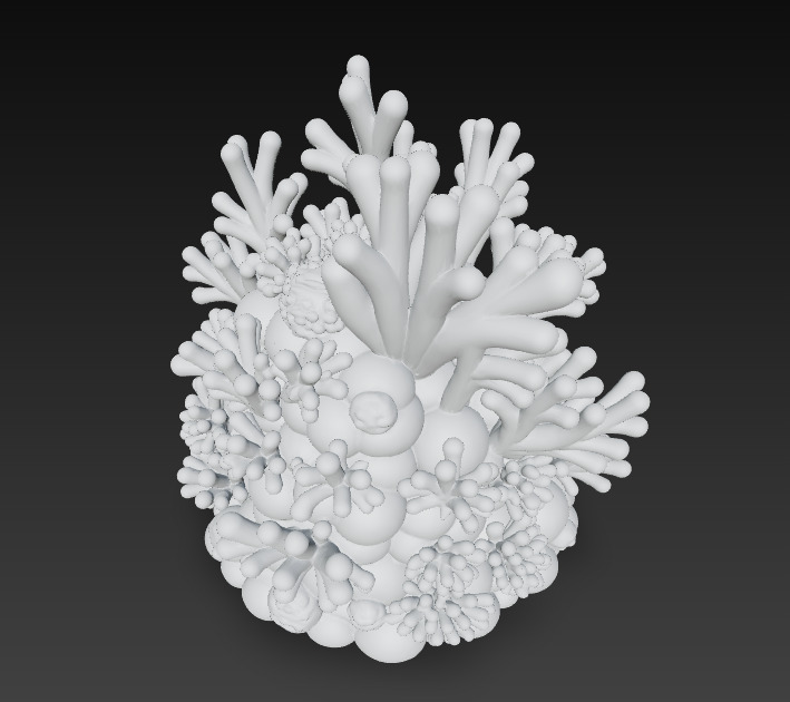 Reef Coral Realistic 3D Model Basic - Low Poly Realistic Low-poly 3D model_15