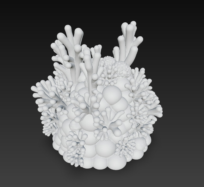 Reef Coral Realistic 3D Model Basic - Low Poly Realistic Low-poly 3D model_14