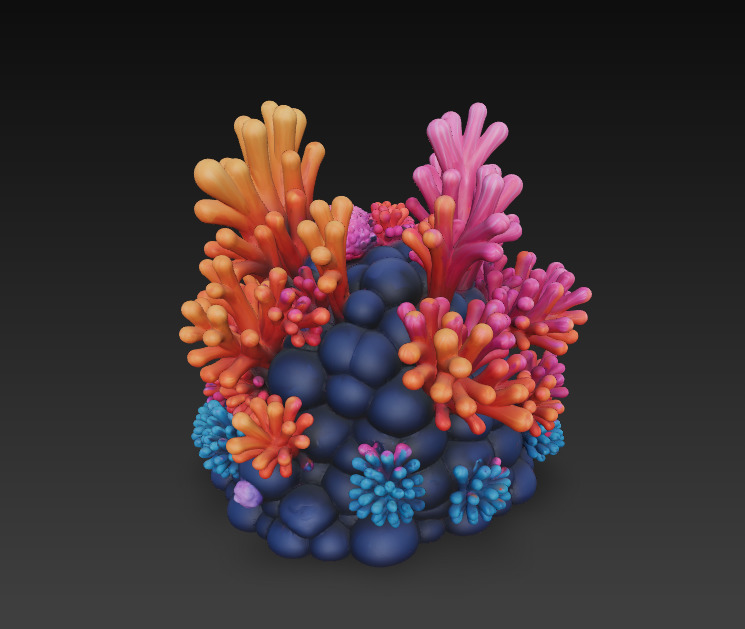 Reef Coral Realistic 3D Model Basic - Low Poly Realistic Low-poly 3D model_4