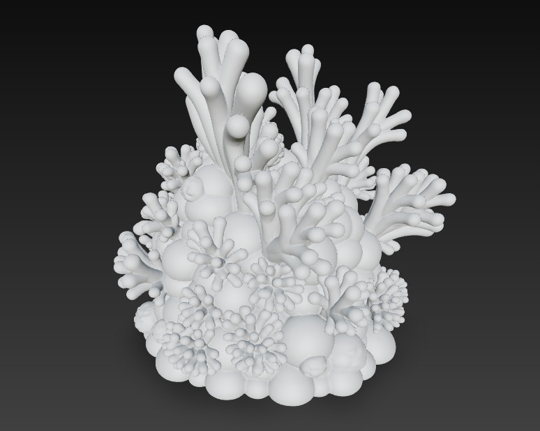Reef Coral Realistic 3D Model Basic - Low Poly Realistic Low-poly 3D model_12