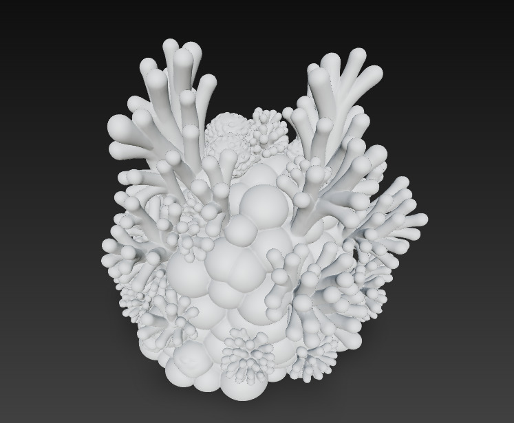 Reef Coral Realistic 3D Model Basic - Low Poly Realistic Low-poly 3D model_16