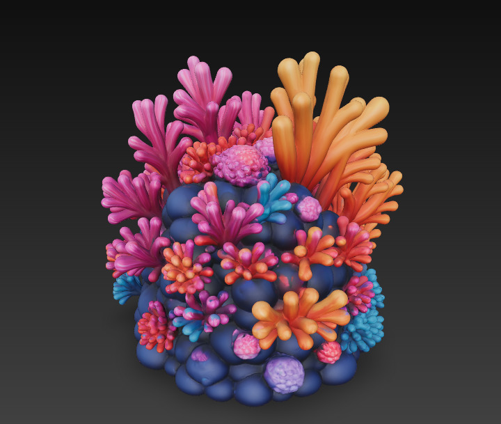 Reef Coral Realistic 3D Model Basic - Low Poly Realistic Low-poly 3D model_6