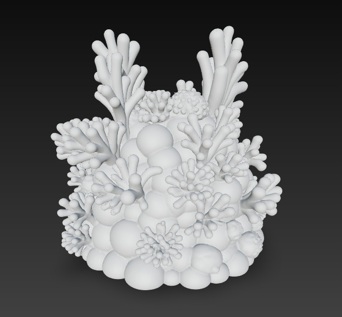 Reef Coral Realistic 3D Model Basic - Low Poly Realistic Low-poly 3D model_11