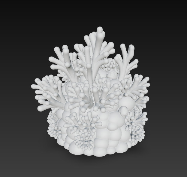 Reef Coral Realistic 3D Model Basic - Low Poly Realistic Low-poly 3D model_19