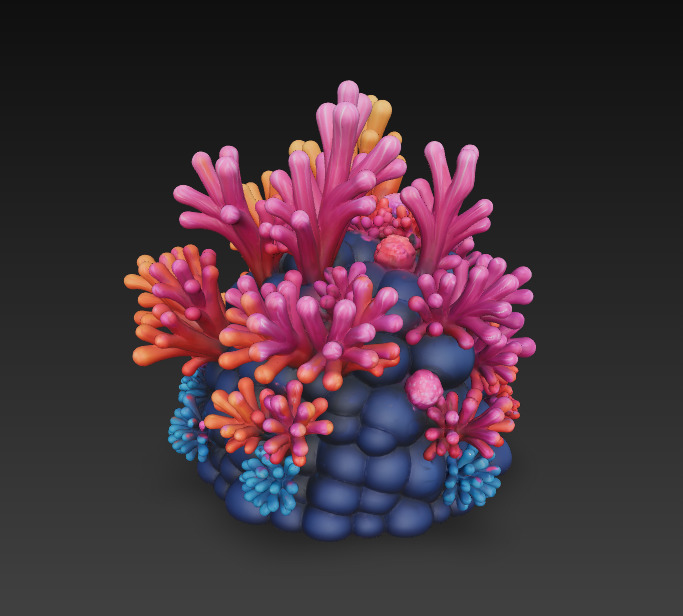 Reef Coral Realistic 3D Model Basic - Low Poly Realistic Low-poly 3D model_5