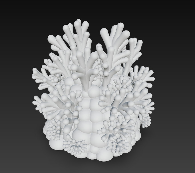 Reef Coral Realistic 3D Model Basic - Low Poly Realistic Low-poly 3D model_13