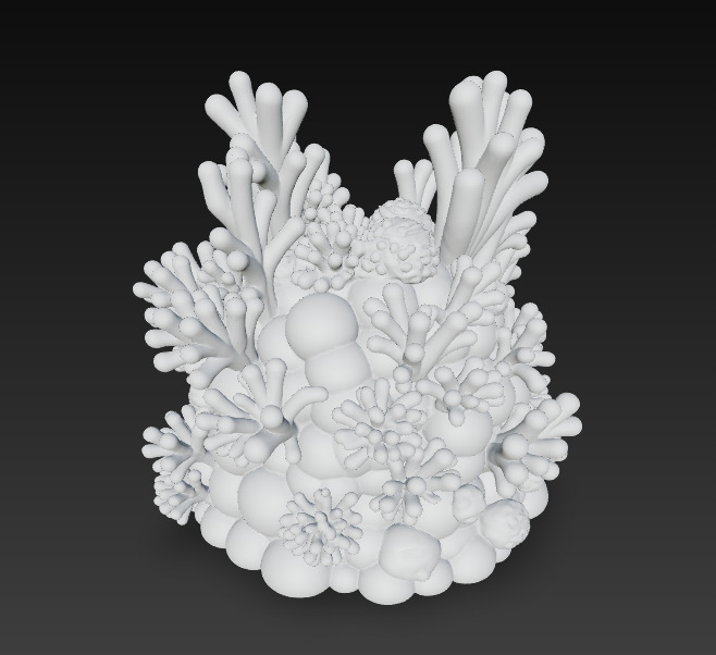 Reef Coral Realistic 3D Model Basic - Low Poly Realistic Low-poly 3D model_17