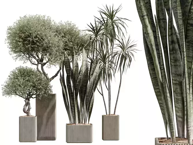 AV Indoor Plants Set 264  3D model