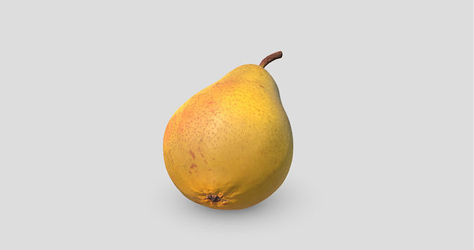 Realistic Yellow Pear 3D Model 3D model 5