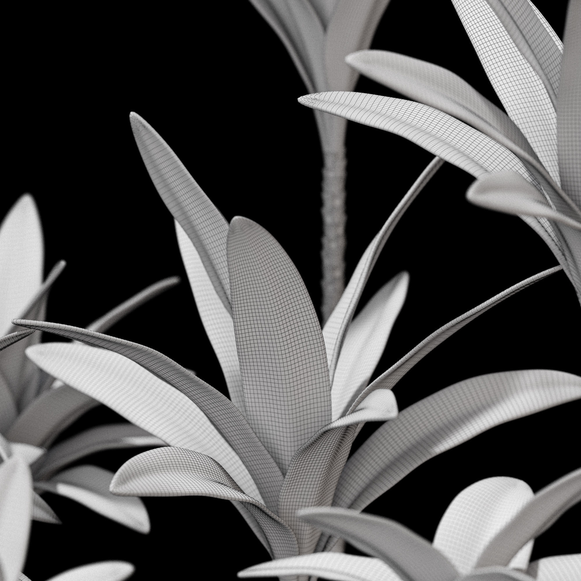 3dprint Plant 05 3D print model_7