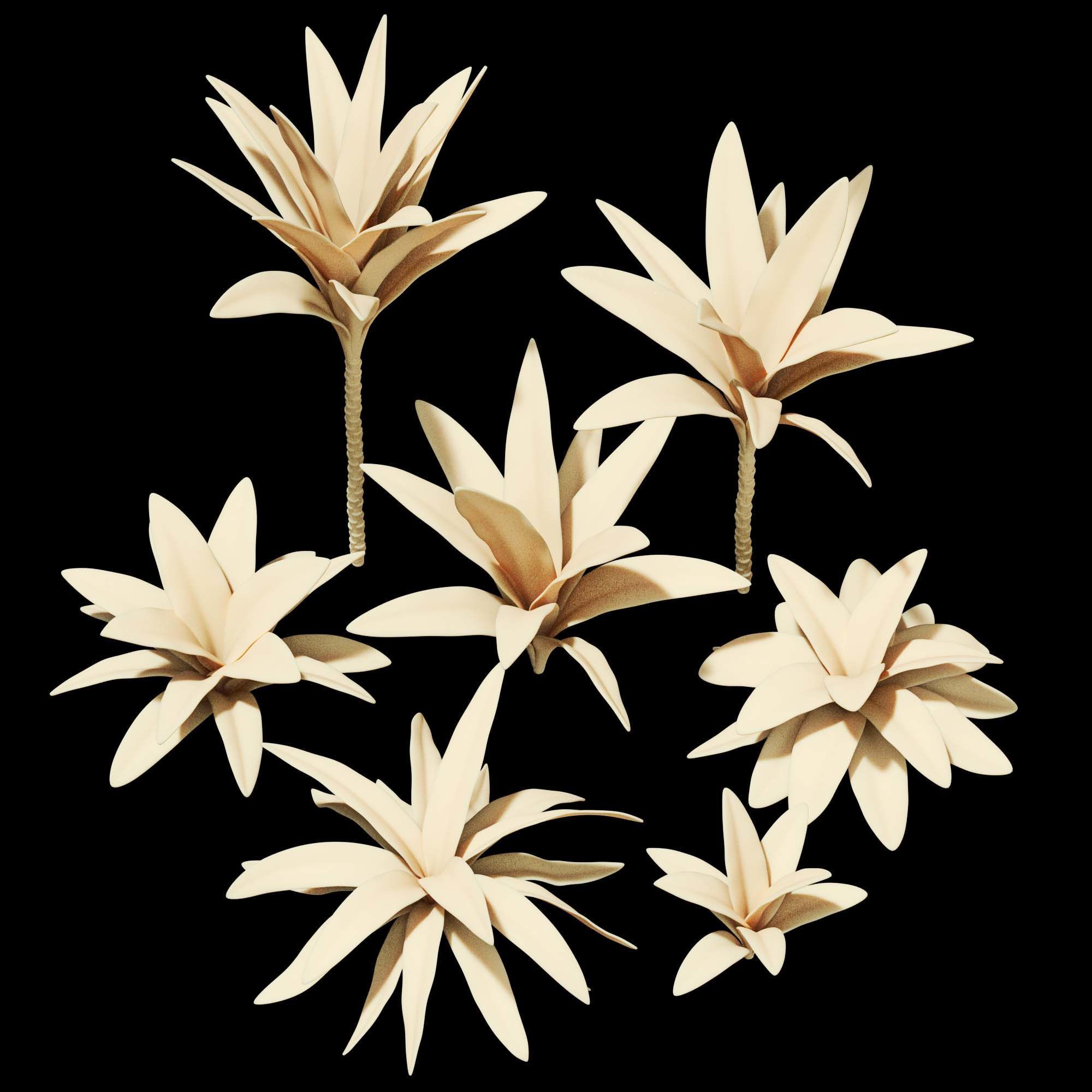 3dprint Plant 05 3D print model_3