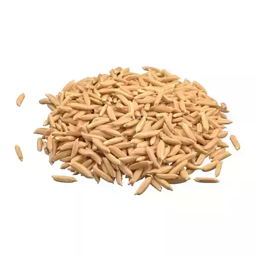 Dry Rice grain pile 
