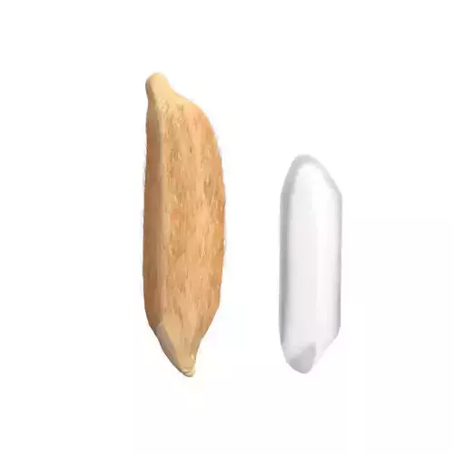 Rice grain dry and raw 