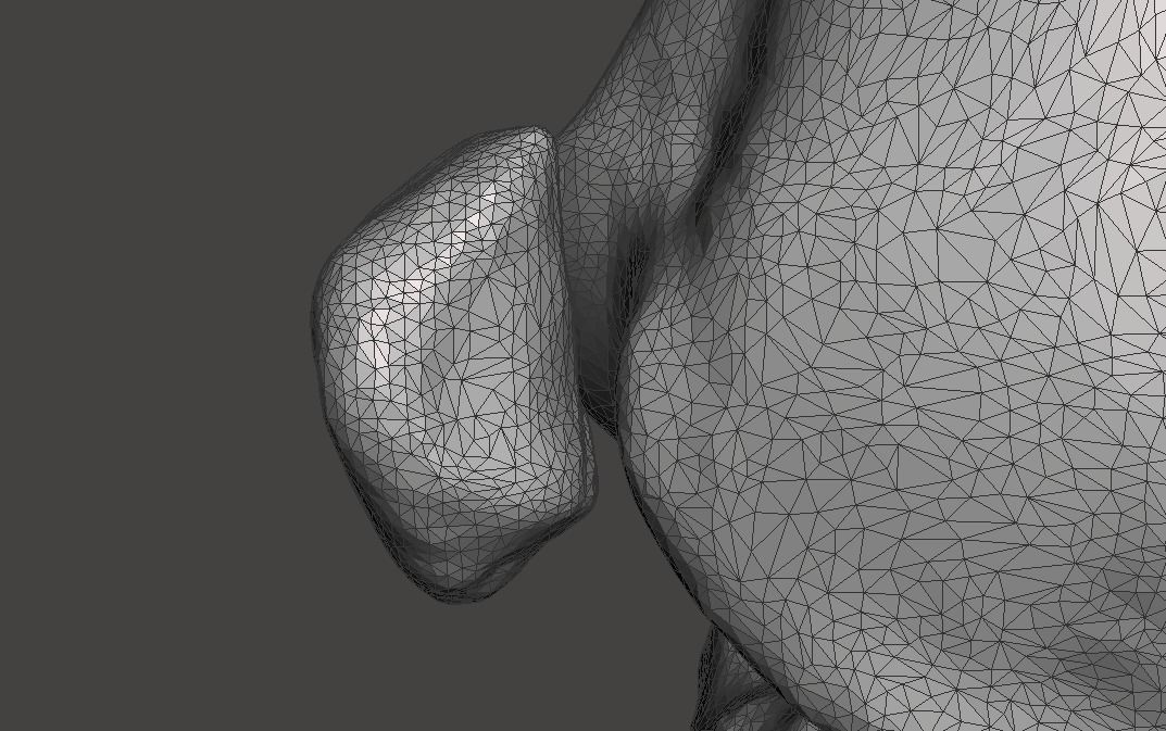 Right knee joint - female 3D model 3D model_31