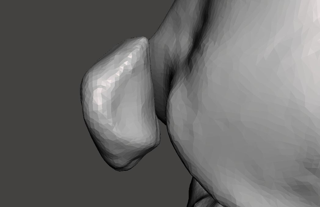 Right knee joint - female 3D model 3D model_30