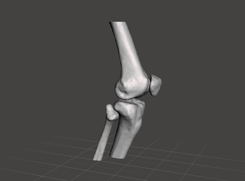 Right knee joint - female 3D model 3D model_9