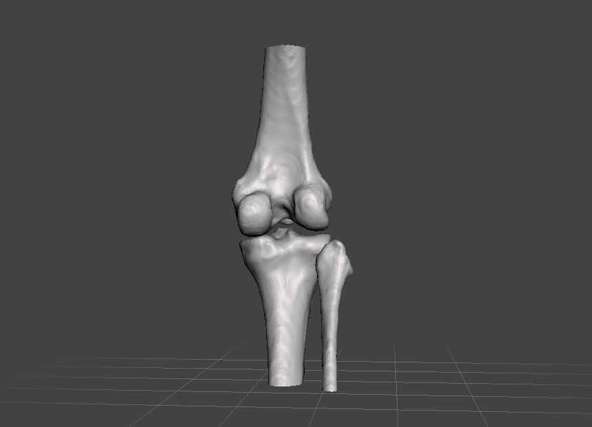 Right knee joint - female 3D model 3D model_3